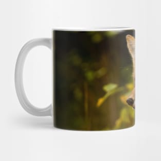 Red Fox Mug